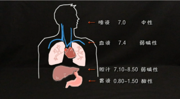 人体血液ph图片